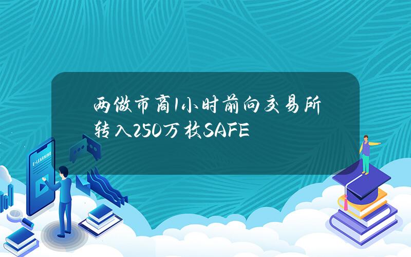 两做市商1小时前向交易所转入250万枚SAFE