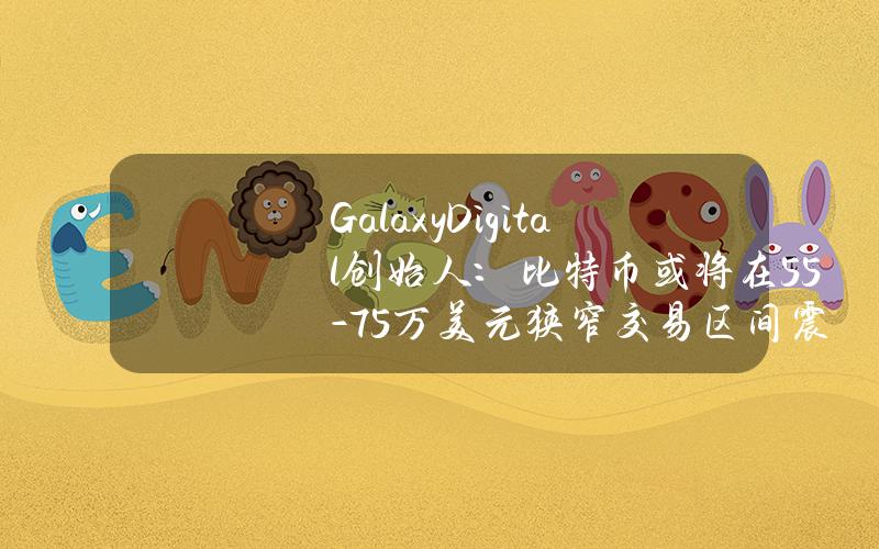 GalaxyDigital创始人：比特币或将在5.5-7.5万美元狭窄交易区间震荡